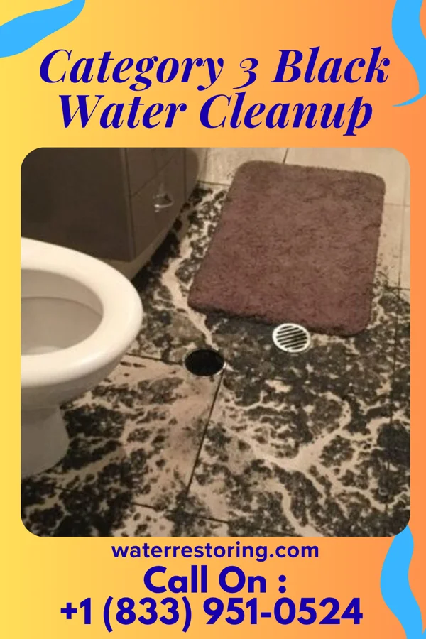 Category 3 Black Water Cleanup in Rochelle, GA