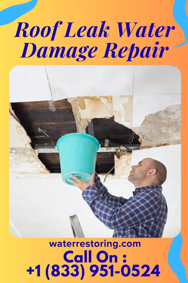 Roof Leak Water Damage Repair in Rochelle, GA