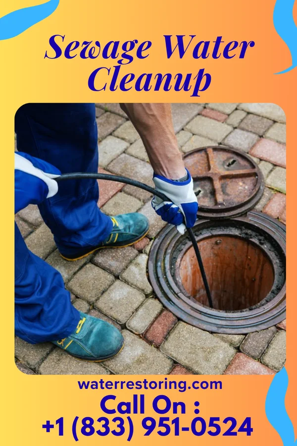 Sewage Water Cleanup in Rochelle, GA